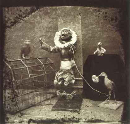 Witkin & The Wonder: When a Turkish Superstar Brought Magic to Amsterdam!